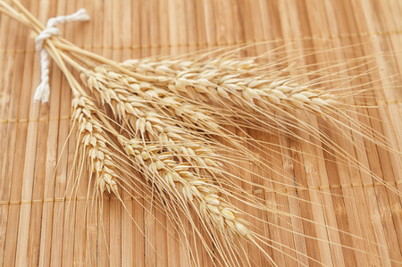 Wheat ears isolated on white backgroundの写真素材