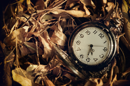 Antique pocket watch against the background of dried leavesの写真素材