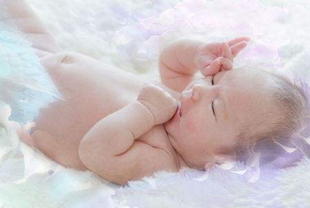 Newborn baby girl on fur blanket on flower backgroundの写真素材