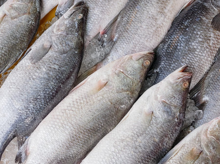 Stack of fresh snapper at fish marketの写真素材