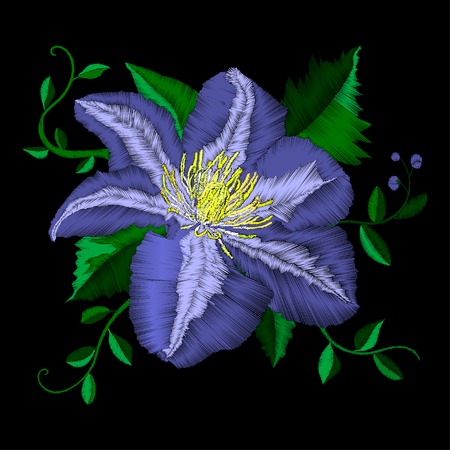 Embroidery blue flower angle pattern. Vector traditional folk blue clematis on black background for clothing designのイラスト素材