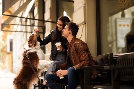 Portrait of happy young man and woman have walk outdoor with their pet, feed it with something delicious, sit on chairs, have break after long stroll. People and animals, good relations concept.の写真素材