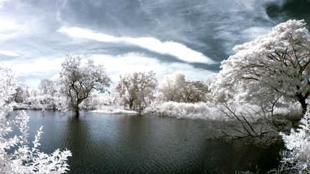 Parks and ponds, taken with near infraredの写真素材
