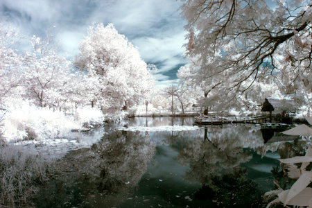 Canoes and wilderness were photographed with near infrared.の写真素材