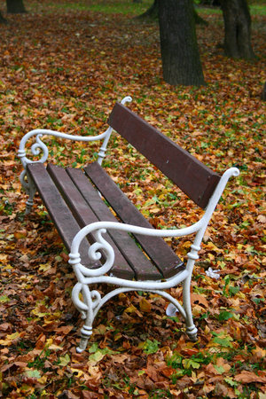 bench in the park with leafsの写真素材