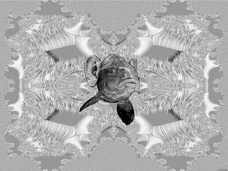 Fish collage in the foreground in the background fractalのeditorial素材