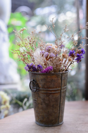 Dried flowers in potの写真素材