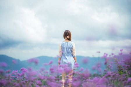 Back view of asia woman in the verbina fieldの写真素材
