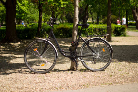 Bicycle locked to tree in country park Eger Hungaryの写真素材