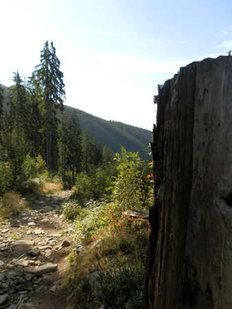 landscapeの写真素材