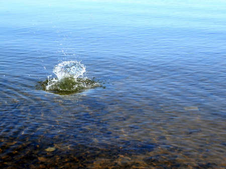 flushes on the waterの写真素材