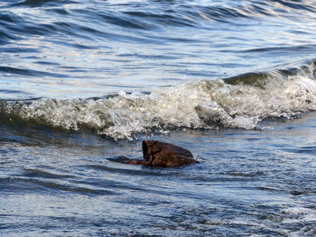 Rock in the blue waterの写真素材