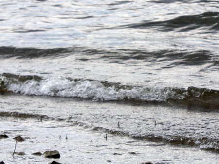 Wave on the waterの写真素材