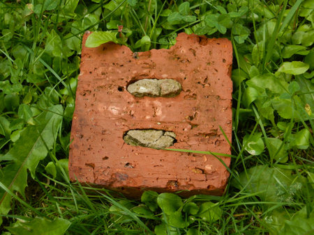 Old brick on the grassの写真素材