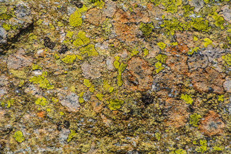 nice colored stoneの写真素材