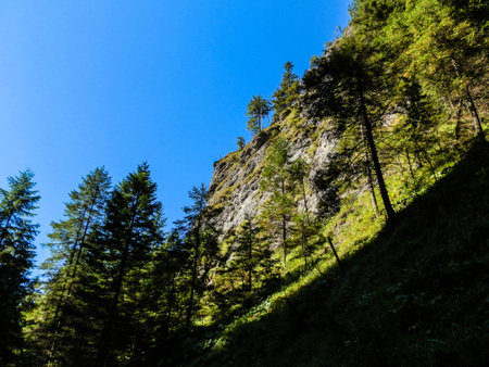 rocks valley with tree, blue sky beatifull valleyの写真素材