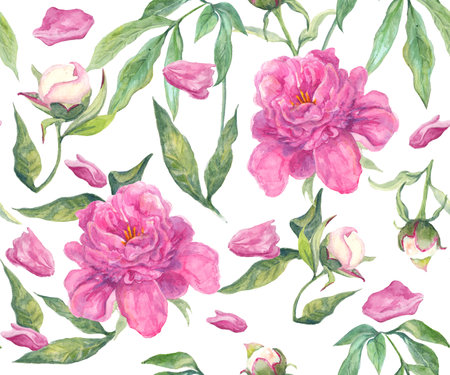 Set of floral elements with peonies flowers and leaves. Hand drawn, botanical flora for decoration, wedding invitation, wallpapers, fabric, wrapping paper. Realistic style.の写真素材