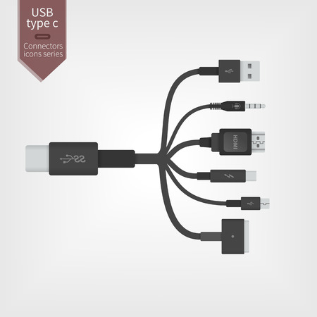 USB type-C universal connection interface. All in one. Standardization concept. Most popular wires and sockets.のイラスト素材