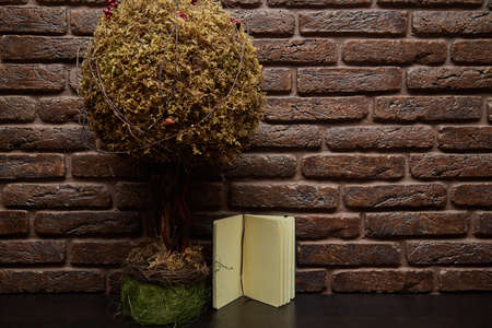 A small tree is on the table and sketchbook.の写真素材