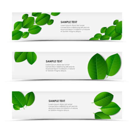 Fresh spring horizontal bannersのイラスト素材