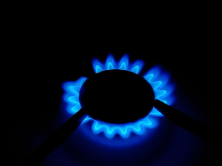 Flower of a flame of a house gas cooker in darkness