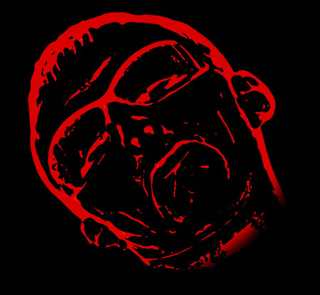 The face of the person. Shades red (2-3) on a black background.