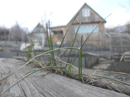 In the foreground of a photo the grass growing from a wooden shop is visible. On a background the dim outlines of an old garden small house.の写真素材