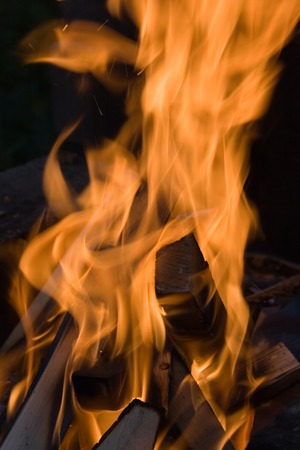 Fire at night. The beautiful flame can be used as a background for a composition.の写真素材