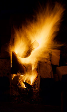 Fire at night. The beautiful flame can be used as a background.