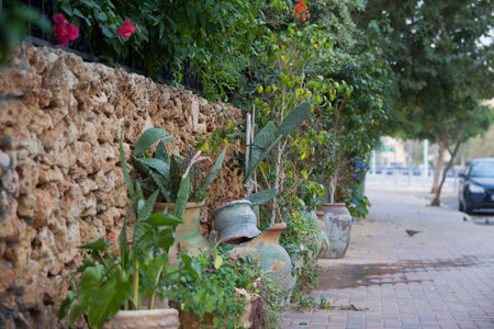 morning streetの写真素材