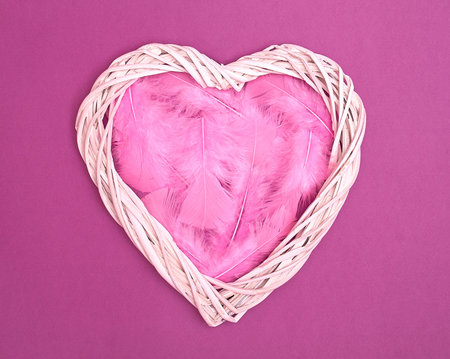 Wooden white heart full of pink feathers on a purple background. Text space. Love, tenderness, Valentine's Day. Minimal style. Top view. Flat lay.の写真素材