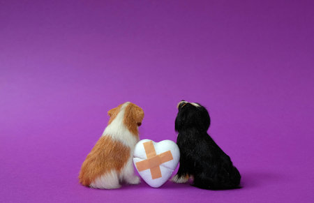 Figures of two dogs, between them a white broken heart with patches on a purple background. Text...
