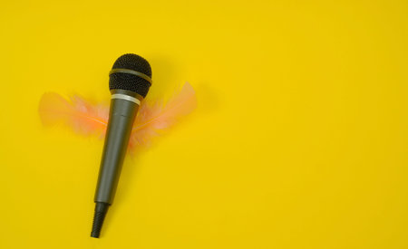 Microphone with soft light pink feathers in the shape of wings on a yellow background. Text space....