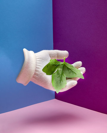 Green leaf in hand with white glove. Hand gesture.