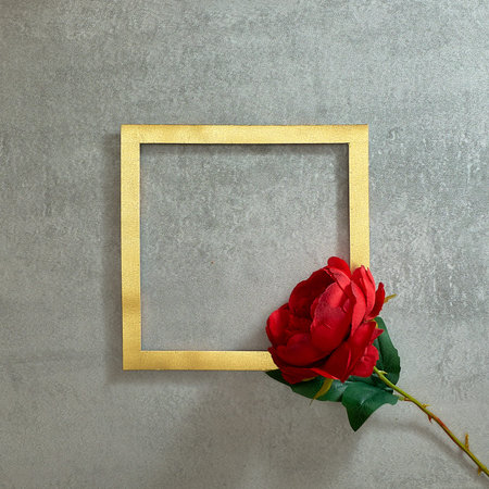 Beautiful red rose on a gold frame and gray concrete background. Text space. Top view. Minimal...
