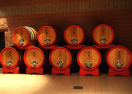 Montalcino, Italy - October 13, 2010 : Wine aging in oak wine barrels in the wine cellar of a famous...