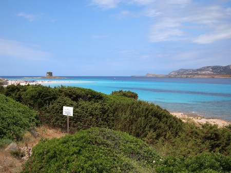 The turquoise blue water and characteristic tower of La Pelosa Beach, Sardinia, Italy の写真素材