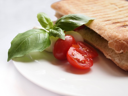 Close up of an italian lunch with a panini sandwich with a side salad including tomatoes, mozzarella cheese and basil leaves.の写真素材