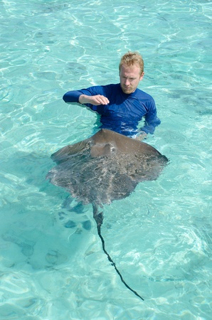 A tourist playing with and feeding a stingray, Himantura fai, in the shallow, clear water of the lagoon of Bora Bora, an island in the Tahiti archipelago French Polynesia.の写真素材
