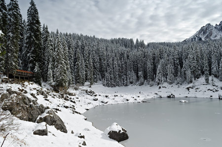Carezza Lake  Karersee  surrounded by pine trees covered with snow in winter in the Dolomites in...