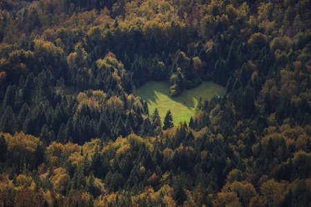 Heart shape in the forest around Lake Bled in Slovenia in autumn colors showing love for nature.の写真素材