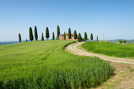 Farm house with cypress trees in front of the villa with a curvy under a clear blue sky in Pienza, Val d'Orcia in Tuscany, Italy.の写真素材