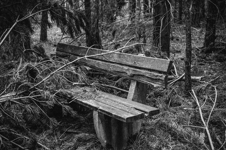 Battered wooden bench in forest covered by branches after a devastating stormの写真素材