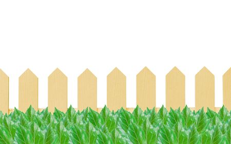 Wooden fence and leaves isolated on white background.の写真素材