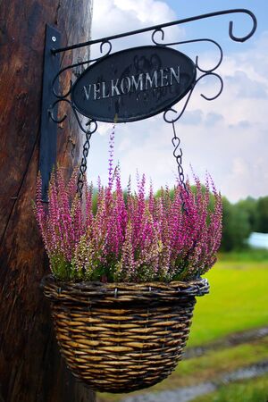 Fragment of decor vintage doorの写真素材