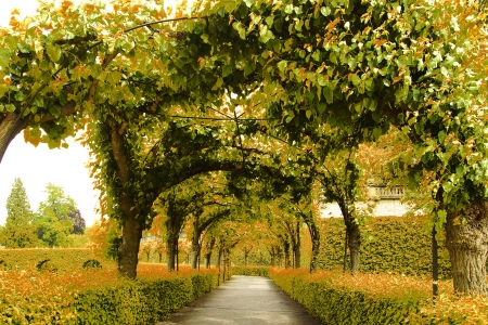 Picturesque nature landscape with Alley in Park の写真素材