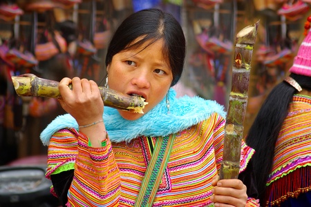 CAN CAU, BAC HA VIETNAM - January 02, 2011-The young woman eats sugar cane at Can Cau market. Flower Hmong are some of the most colourfully dressed; January 02, 201 1in Can Cau, Bac Ha, Vietnamのeditorial素材