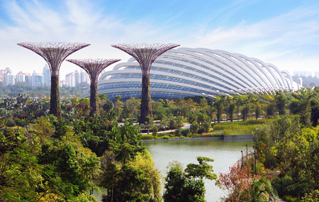 The Supertree Grove at Gardens by the Bay のeditorial素材