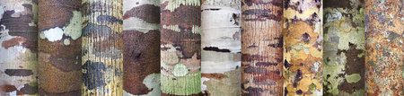 Collection of wood background  Close up の写真素材