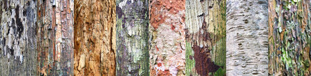 Collection of wood background  Close up の写真素材